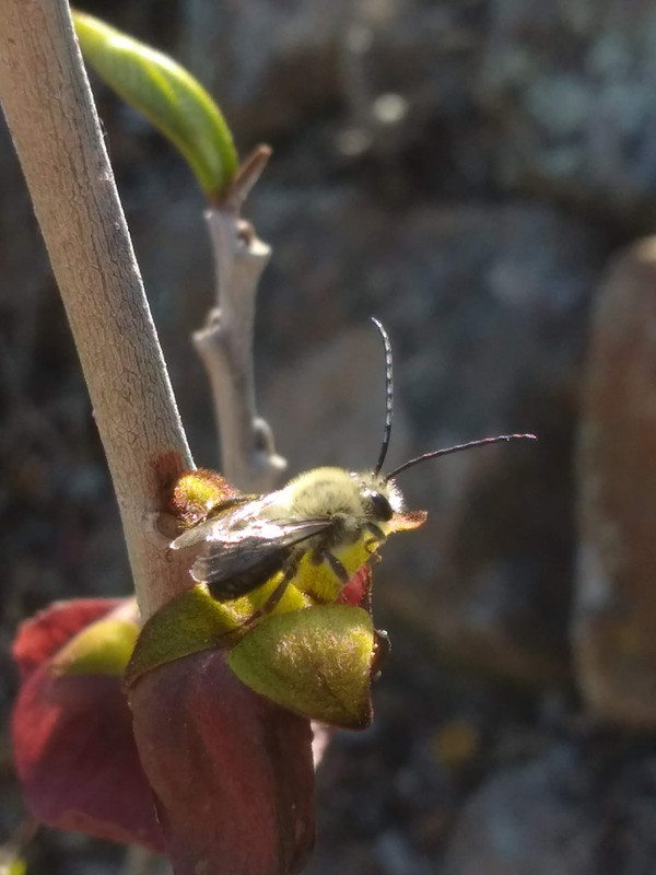 IMG_20210419_090549757(1)