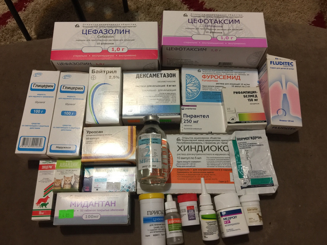 7B5F01BE-C832-4AB9-A6D8-8D6E07C705AC