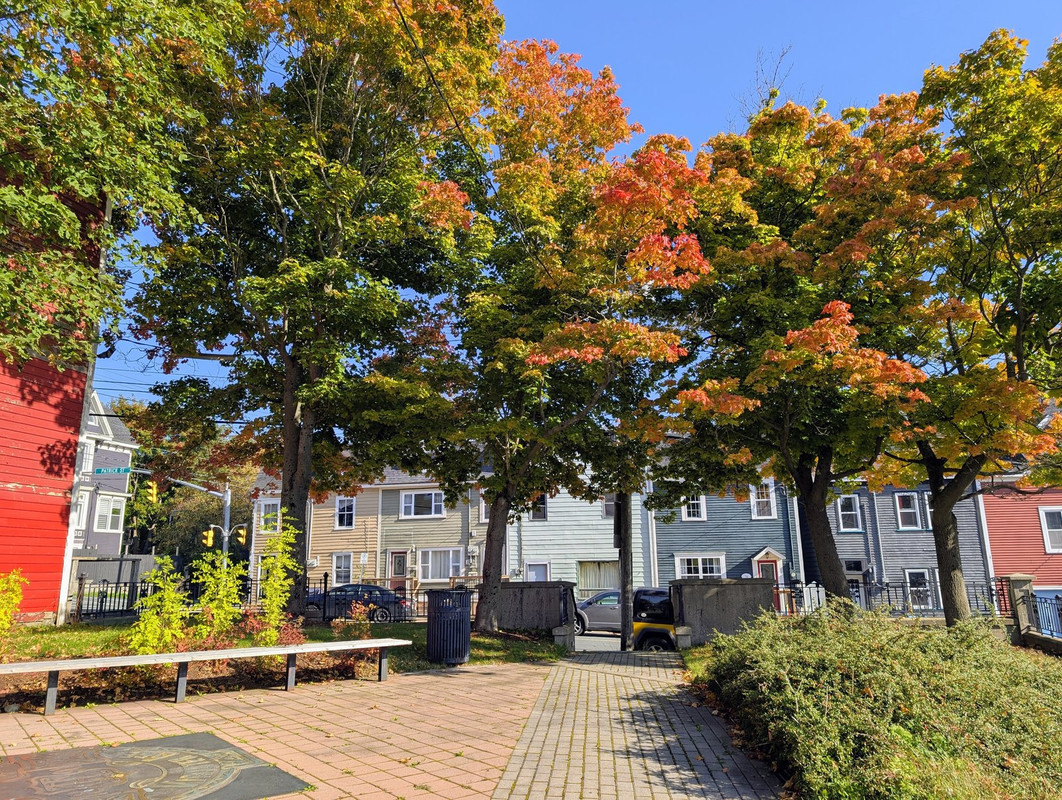 PXL_20251004_130516395.MP~2