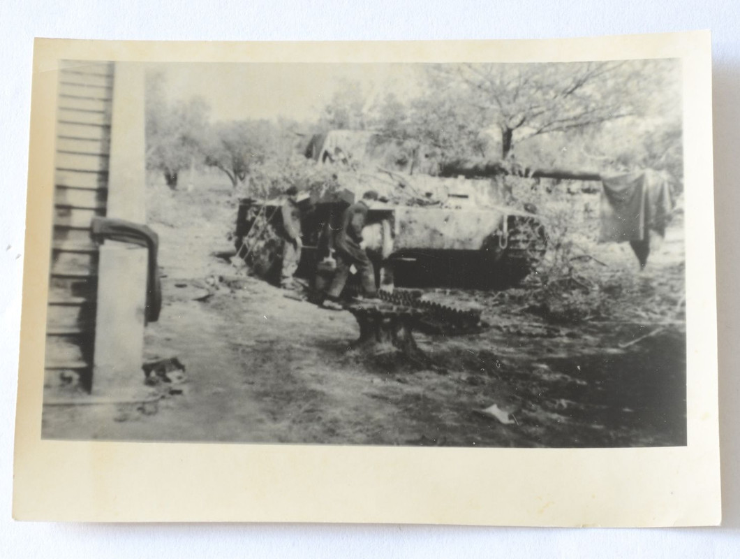 Tiger I im italien Sch Pz Abt 508