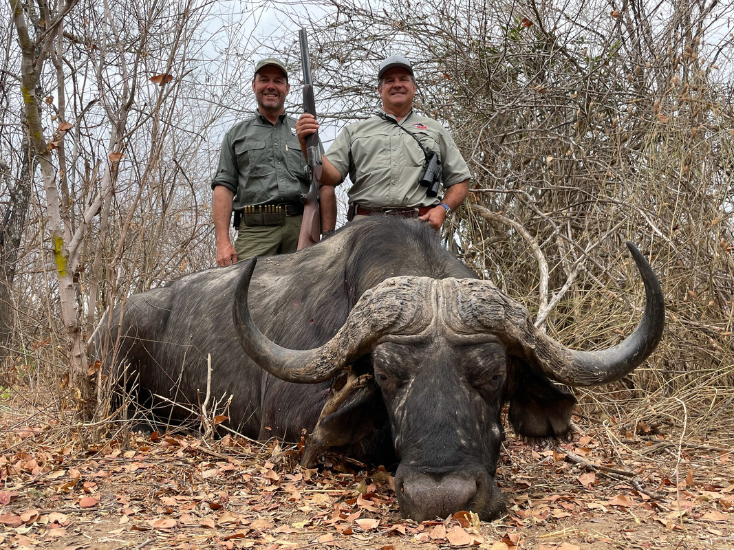 8E987D28-153C-4FFB-A4D0-B26959E75CA2