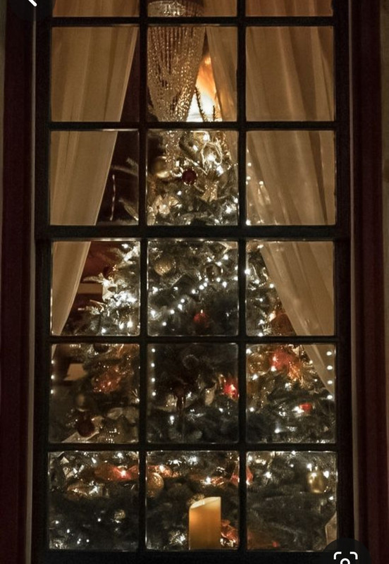 Screenshot_20231205_192929_Pinterest