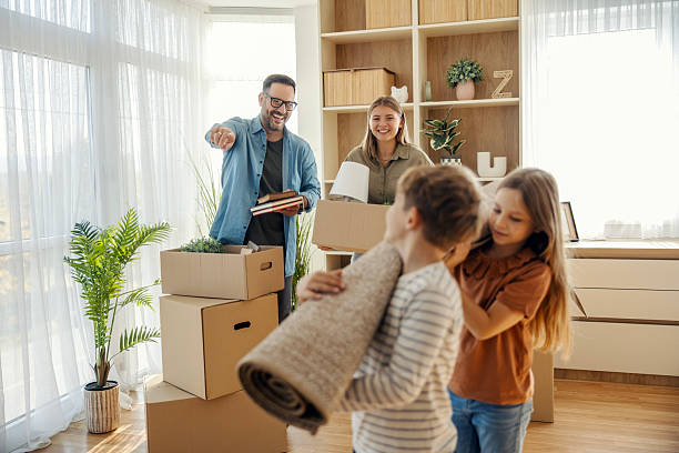 High quality packing materials and box loading