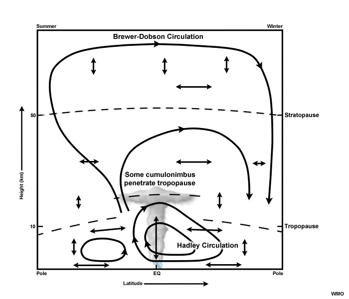 brewer-dobson-2.jpg