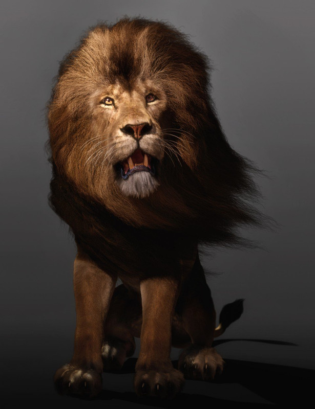 Felidae by AM - Lion - dForce Addon Felidae by AM - Lion - dForce Addon