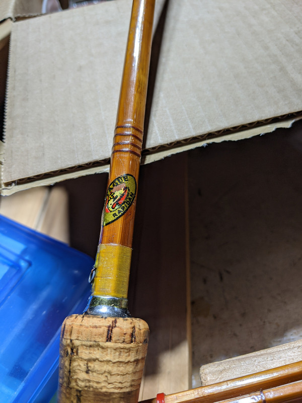 PXL_20211026_021609360.NIGHT