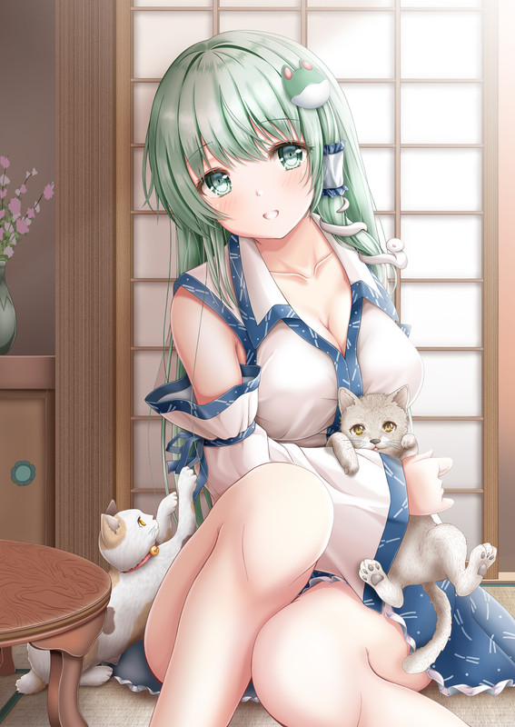 kochiya-sanae-touhou-drawn-by-akino-irori-656bc74f84e1d55deb2ebbf646138899