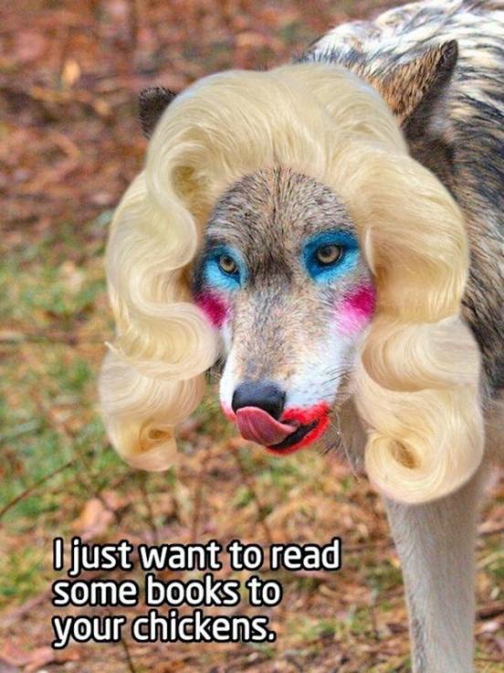 Wolf in drag