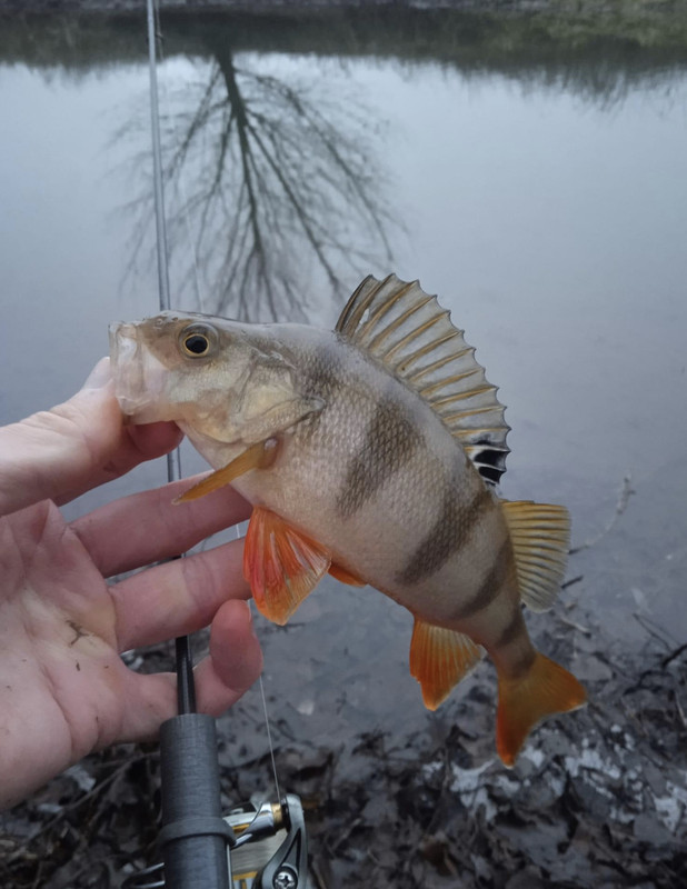 8162CC4C-AB97-406F-87EF-619A78CB80F8