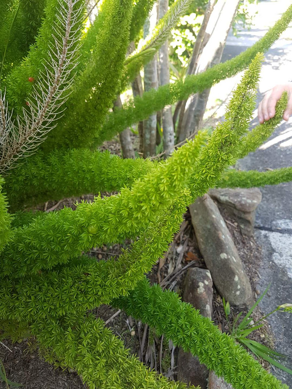 91AE228E-C71A-4FF7-B602-273797617371