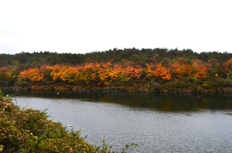 Lago Shōji-16-11-2024 - Japón y sus Pueblos-2024 (11)
