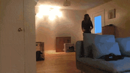daily-gifdump-3400-14.gif