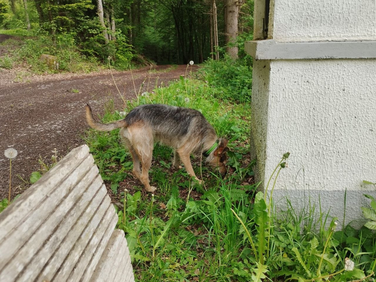 photo 2026 05 15 18 19 36