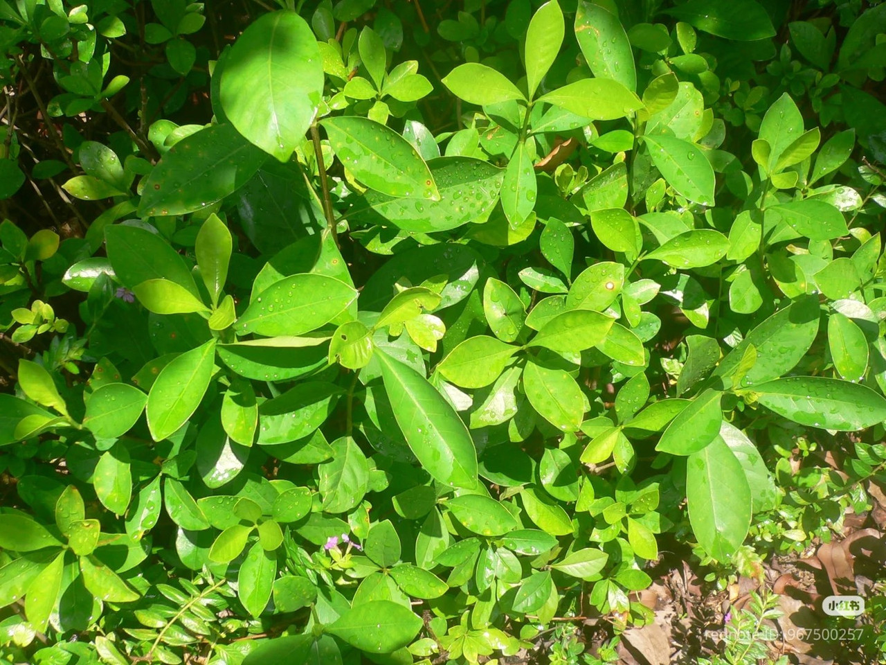 photo 9 2025 12 24 16 09 51