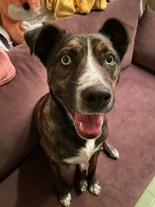 FC363431-4E7A-4AAA-A345-DB96D76B3ED6