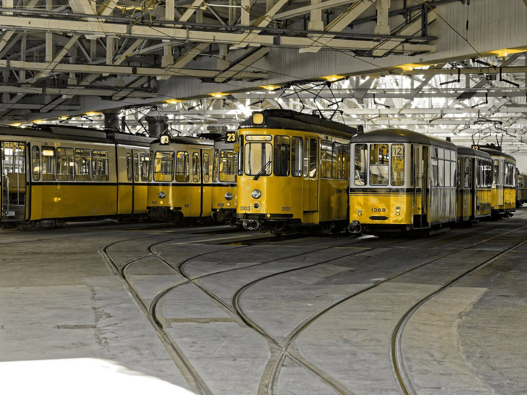 yellow-trams.jpg