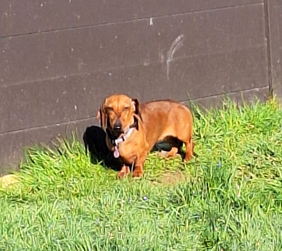 [Image: 20240311-094551.jpg]