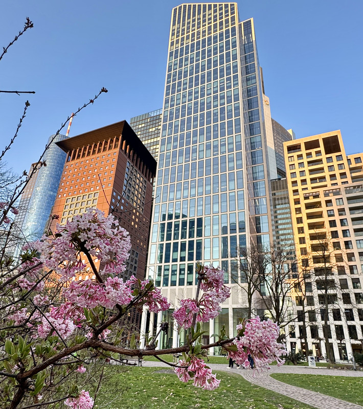 D3A35AC0-55A2-4057-972C-10052C349BEF_1_201_a