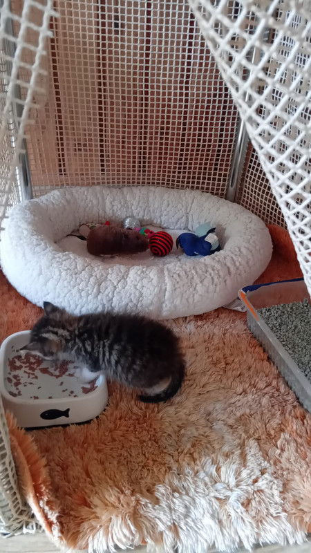 450317051_10228910248238366_8603182254700407789_n