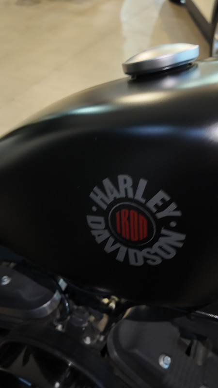 Harley Davidson Sporter 883 - 7