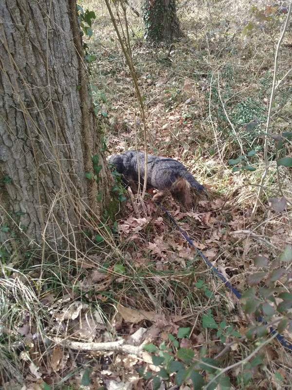 [Image: IMG-20230219-150900.jpg]