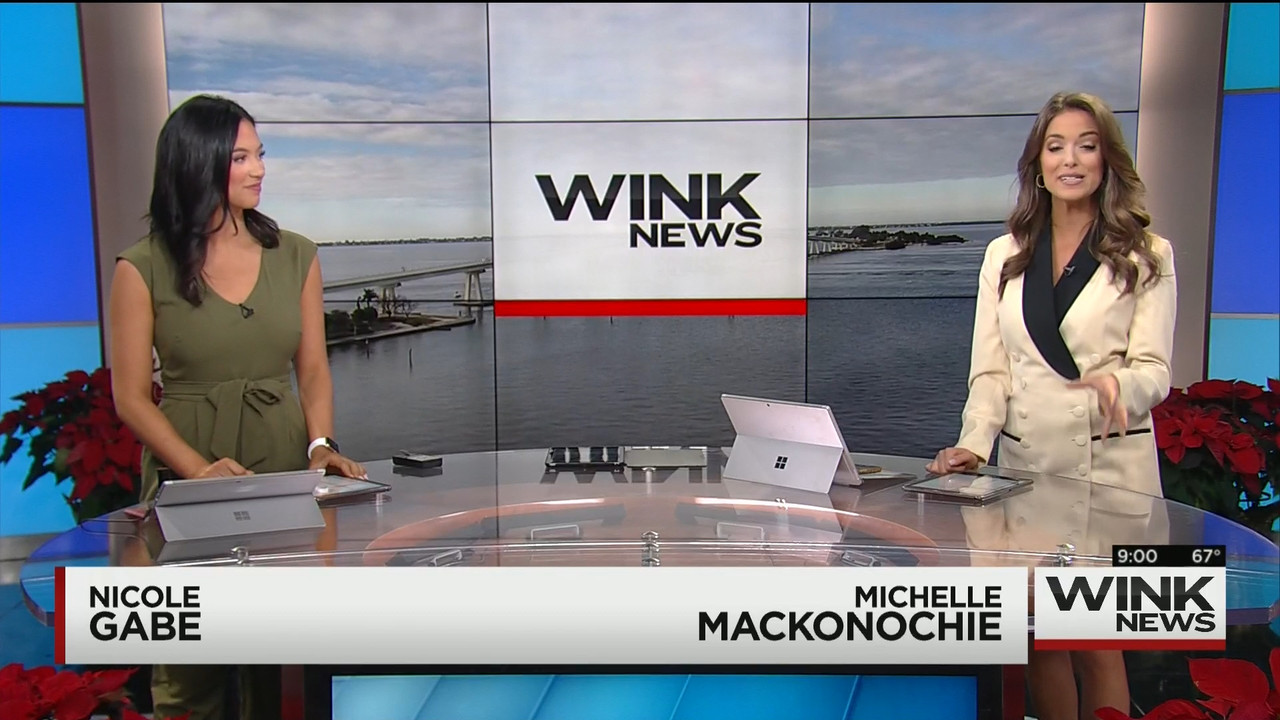 12.12 - 14.00.00 - WINK News @ 9 00AM..ts_snapshot_01.37.907