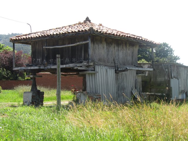 Asturias 2014 - Blogs de España - Día 7 (9 julio): Cudillero (3)