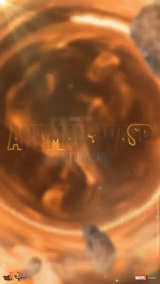 Wasp-Hot-Toy.gif