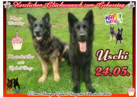 An den Beitrag angehängtes Bild: https://i.postimg.cc/NGW5C8XW/Vorlage-Geburtstag-2026-png-Uschi-24-05-(USCHI).png