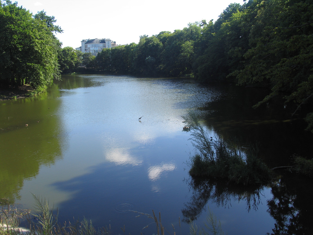 21 Июля 2024 041