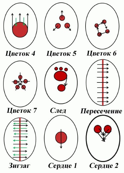 Рисование на ногтях для начинающих гель-лаком, акварелью, акриловыми красками, вензеля. Схемы,