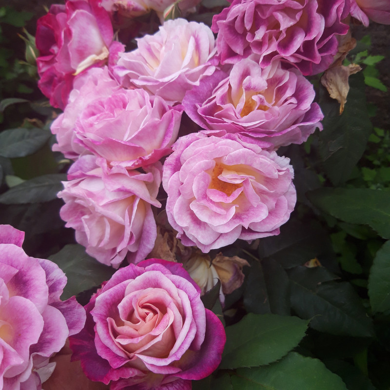 20190610_103801