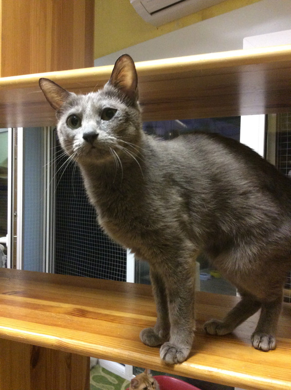 89674C61-E0C9-4400-91E2-E0B63C9711AB