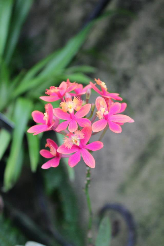 41A279F8-CBFF-4EFF-9A18-CA1799F43C42