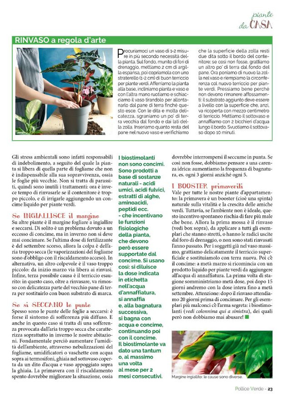 Pol Ver Mar 2023 (4)