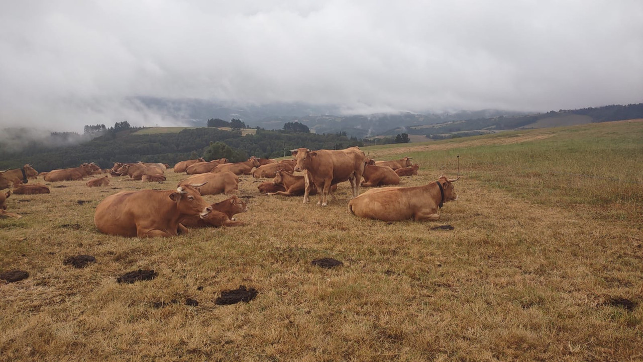 5439a2f6-be3a-485a-b240-14b2053c65a7