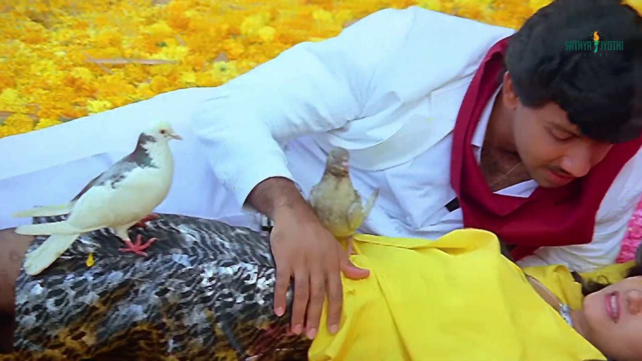 vlcsnap 2025 11 29 08h40m52s861