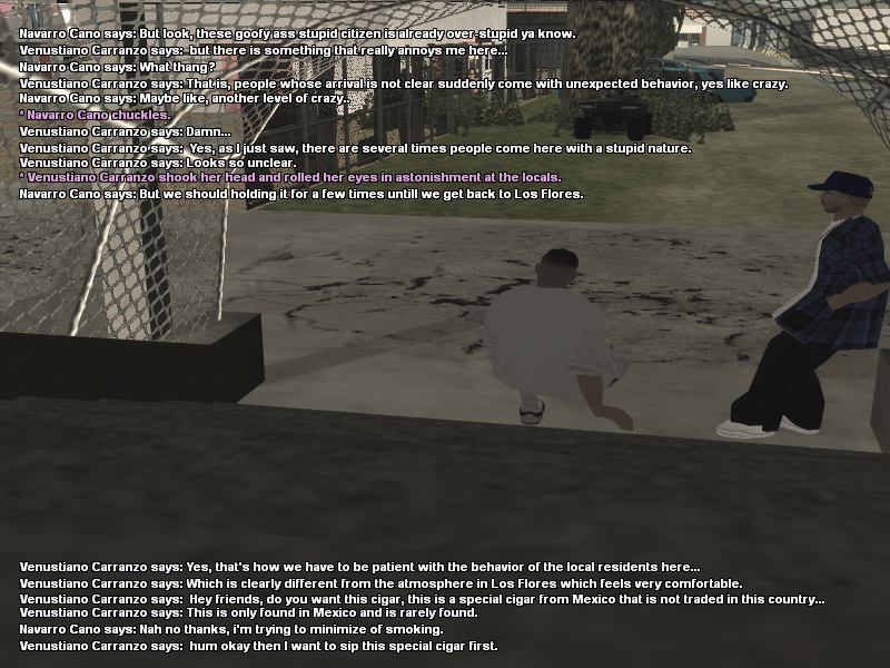RP13.png