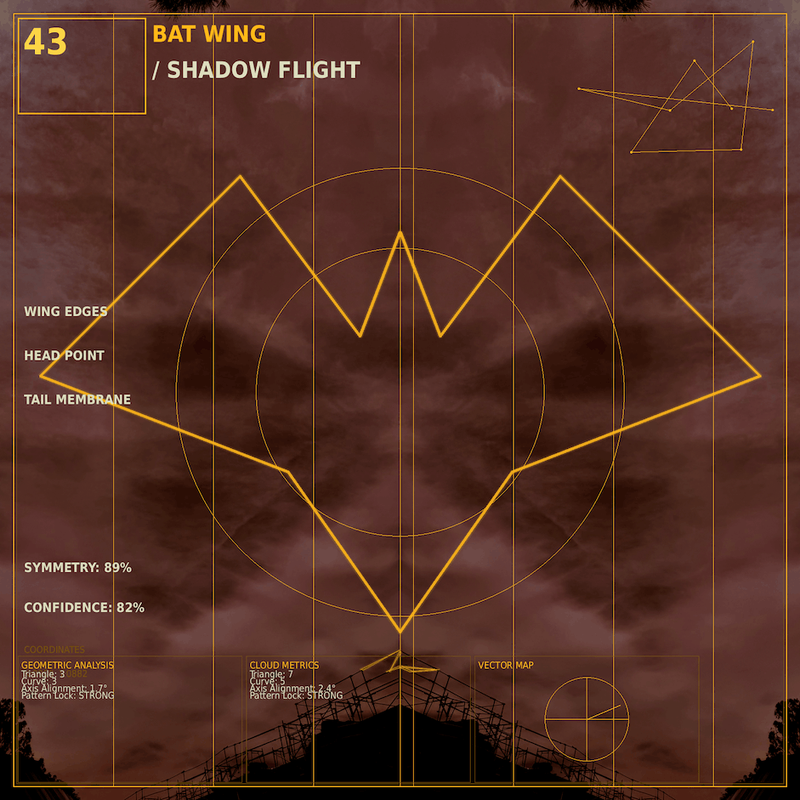 Bat wing
