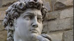 david