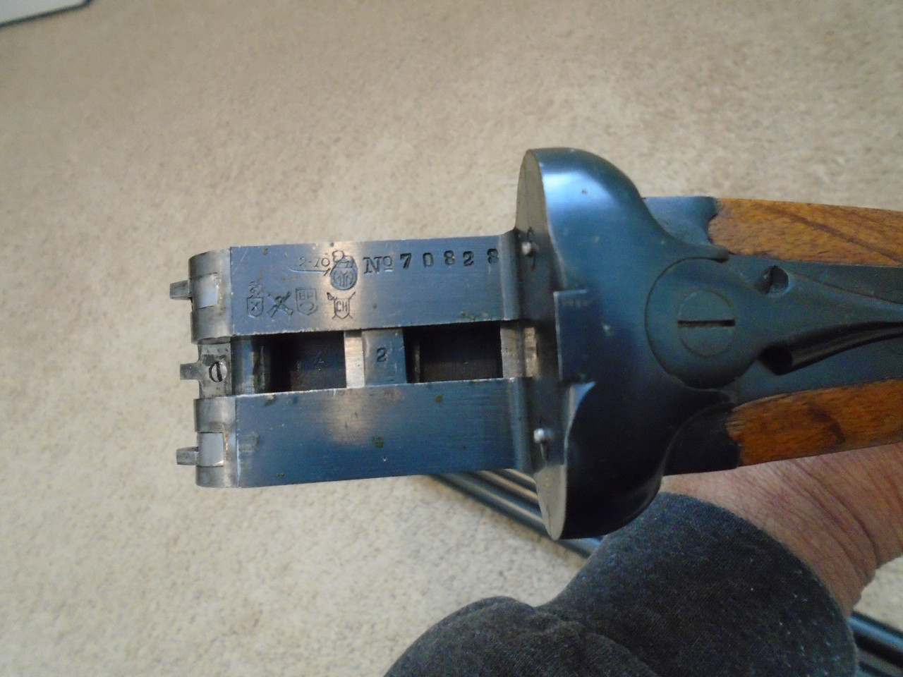 [Linked Image from i.postimg.cc]