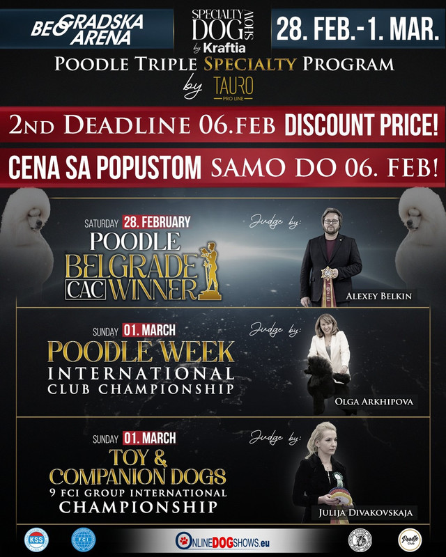 Toy Companion Dogs 9 FCI Club Championship 2026