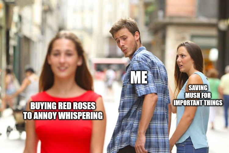 canvas.png