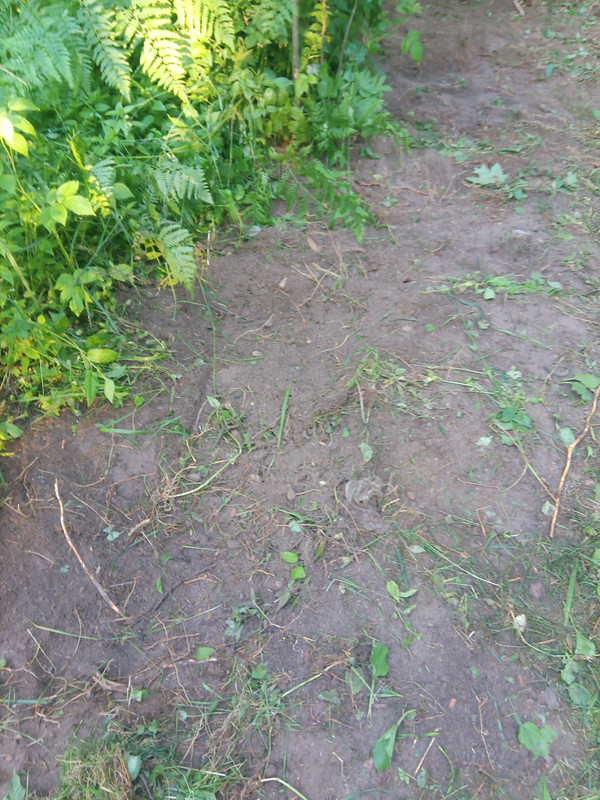 IMG 20260623 051734 924