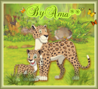 Serie Flia: Madre e Hijo, los Leopardos  Zz
