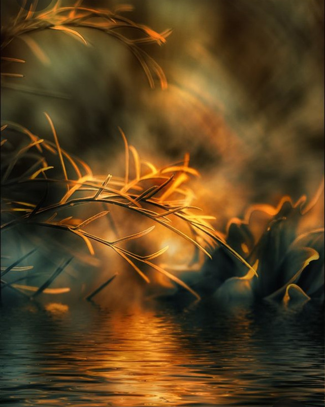 Screenshot_20230302_011353_Pinterest