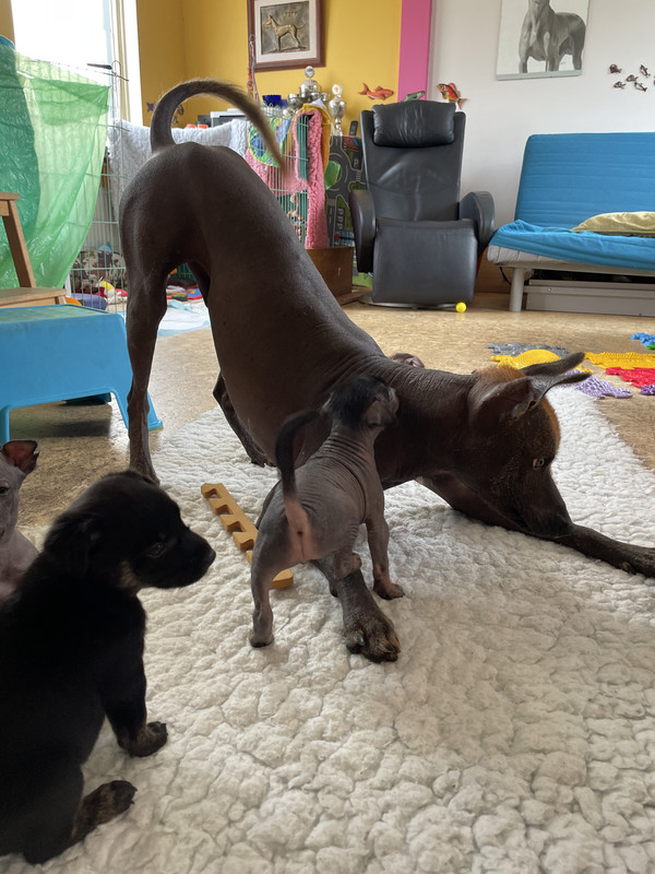 72C3619E-BF7A-49FB-BD5A-6A10107B6B81