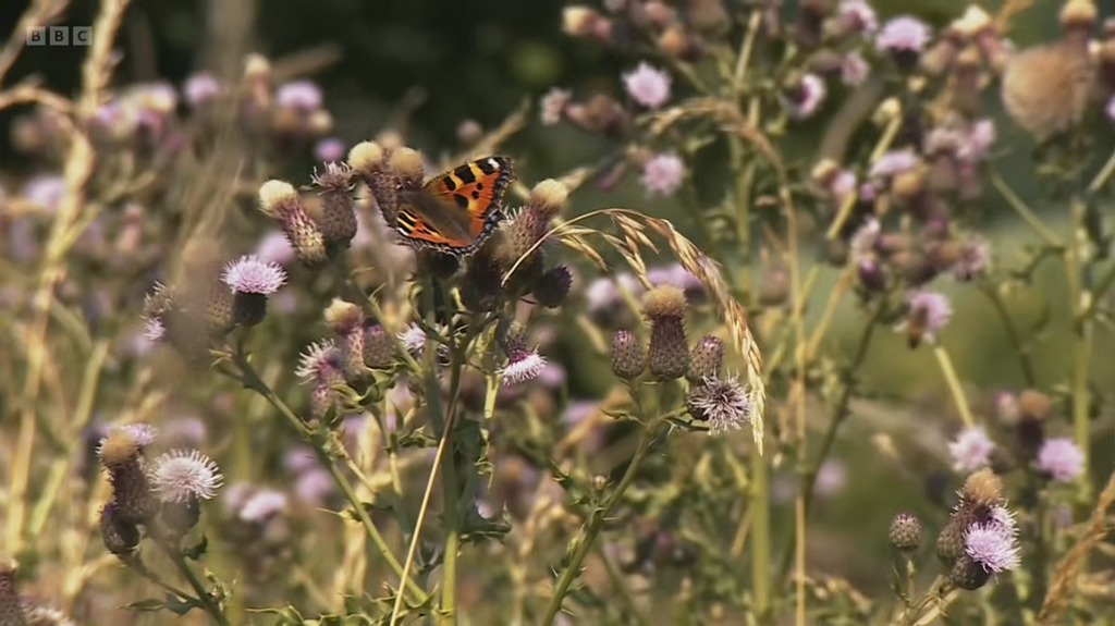 [Image: axn0u06kbuc4.png]