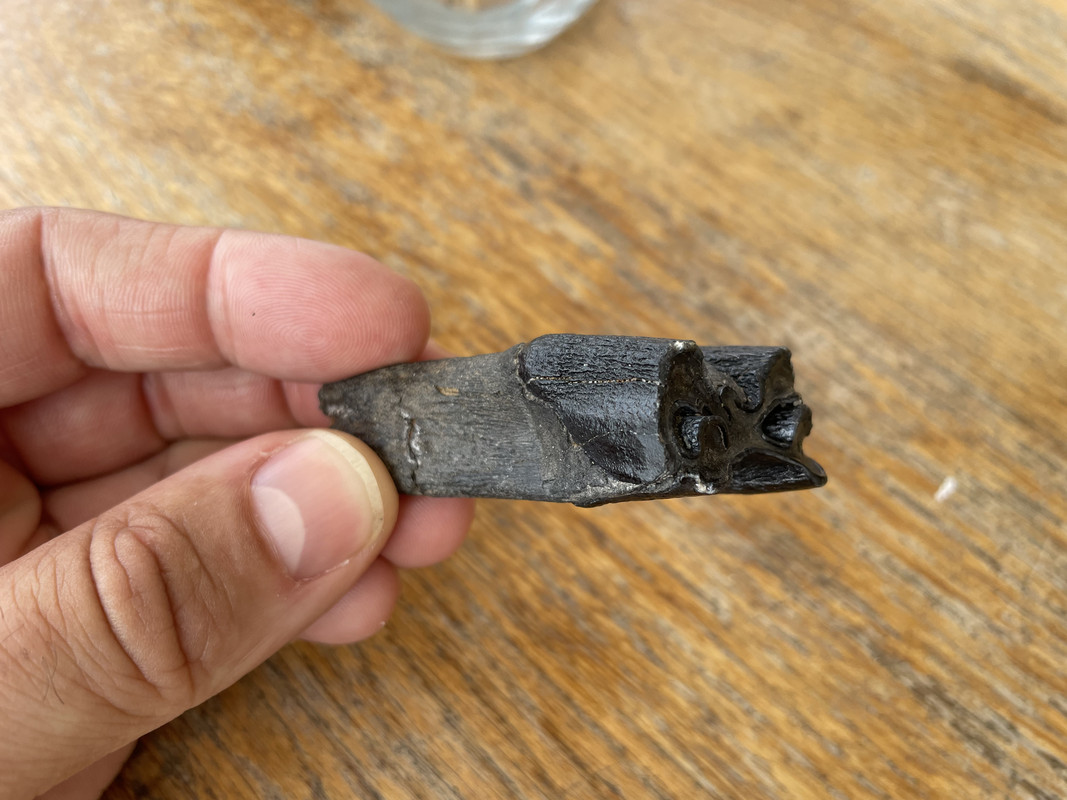 A9778778-8D84-4001-B15F-19C12573B747