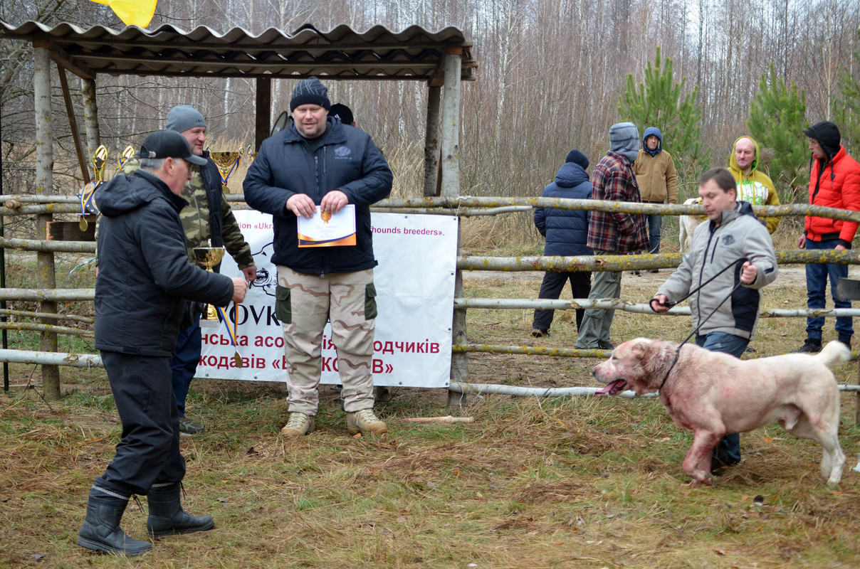 Награждение Урана  (1)